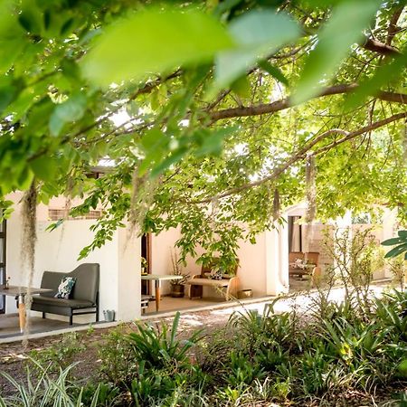 Bed and Breakfast Francines Venue Pty Ltd Hoedspruit Exteriér fotografie