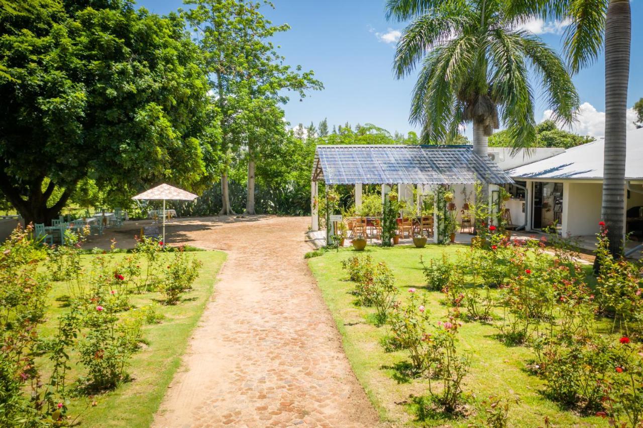 Bed and Breakfast Francines Venue Pty Ltd Hoedspruit Exteriér fotografie