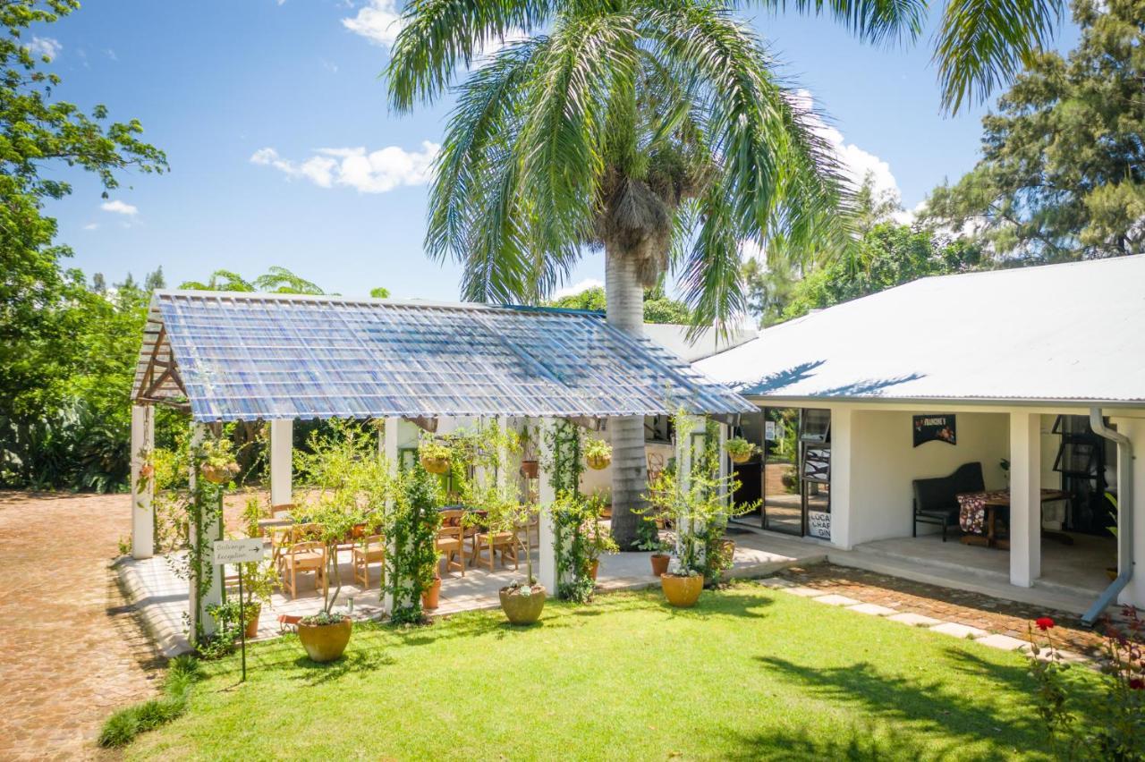 Bed and Breakfast Francines Venue Pty Ltd Hoedspruit Exteriér fotografie