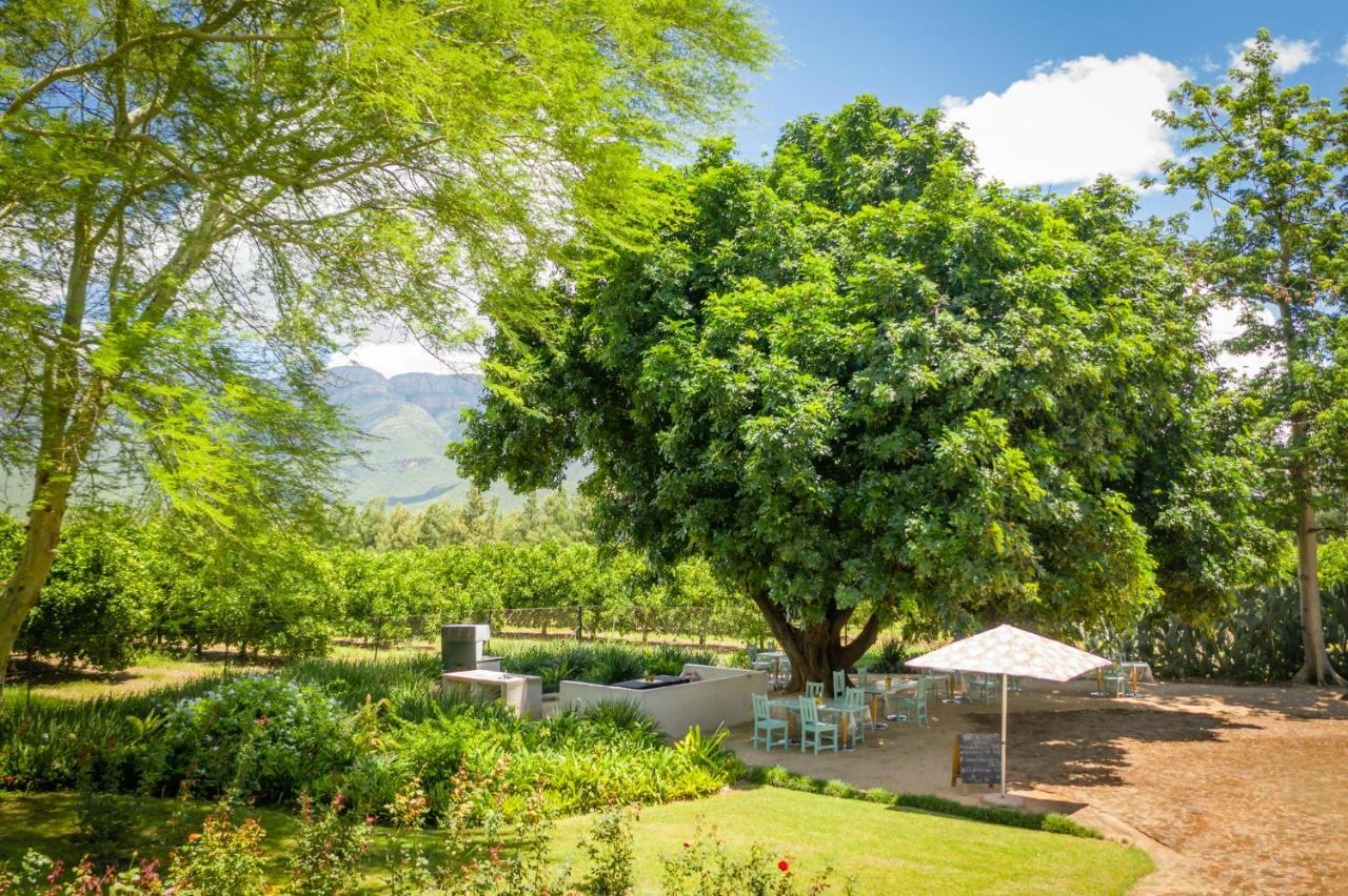 Bed and Breakfast Francines Venue Pty Ltd Hoedspruit Exteriér fotografie